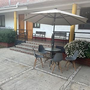 El Agave